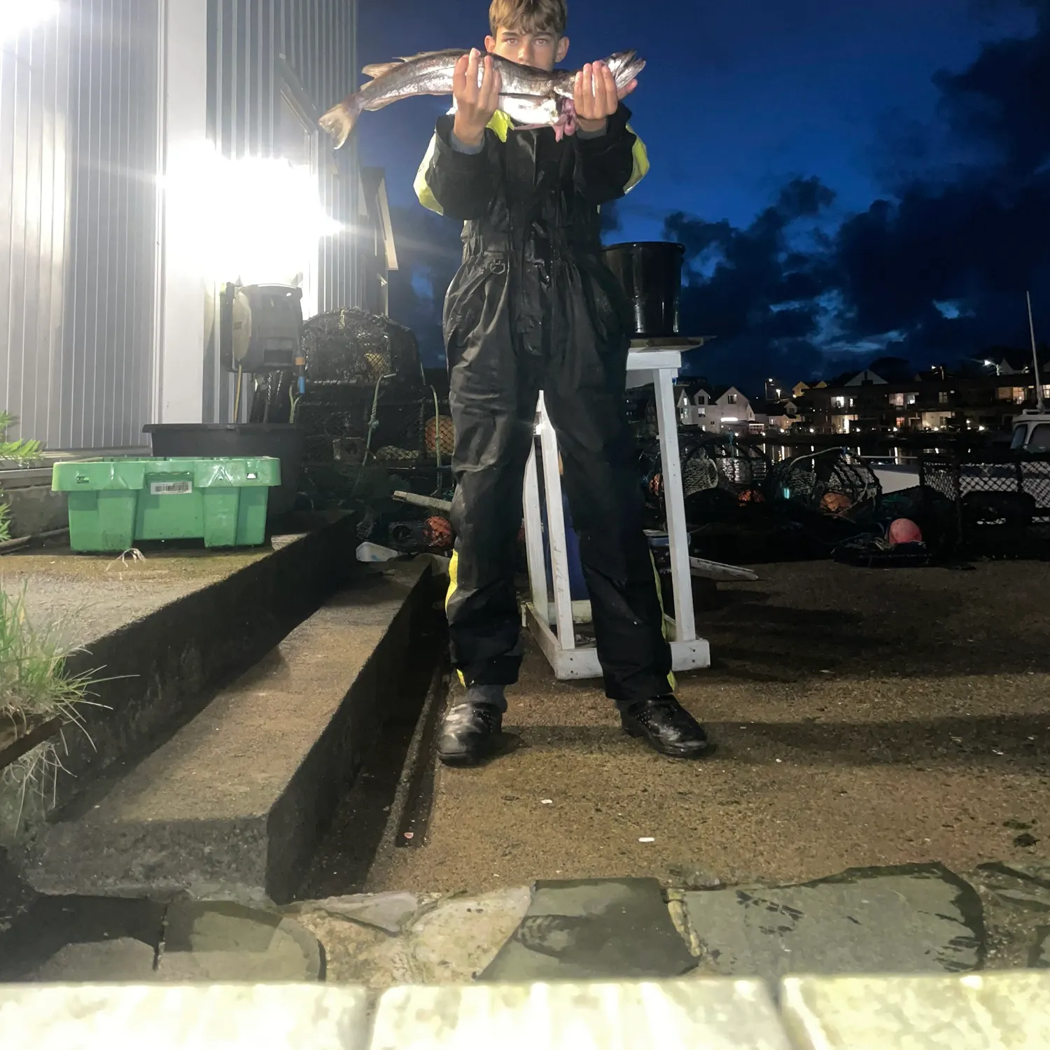 The most recent Silver hake catches on Fishbrain