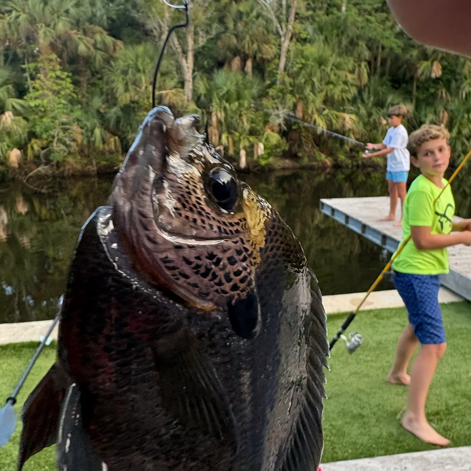 The most recent Bullseye snakehead catches on Fishbrain