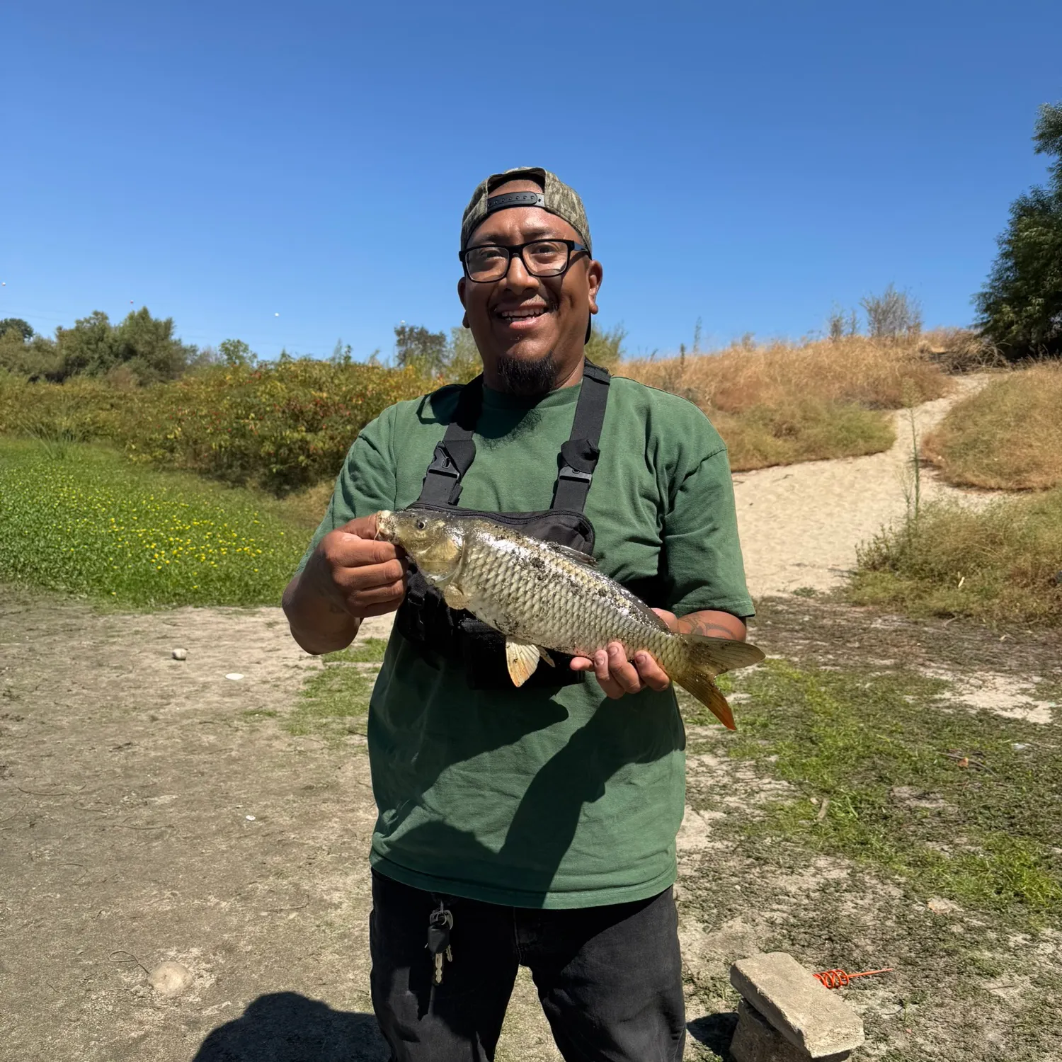 Common carp caught on Fishbrain
