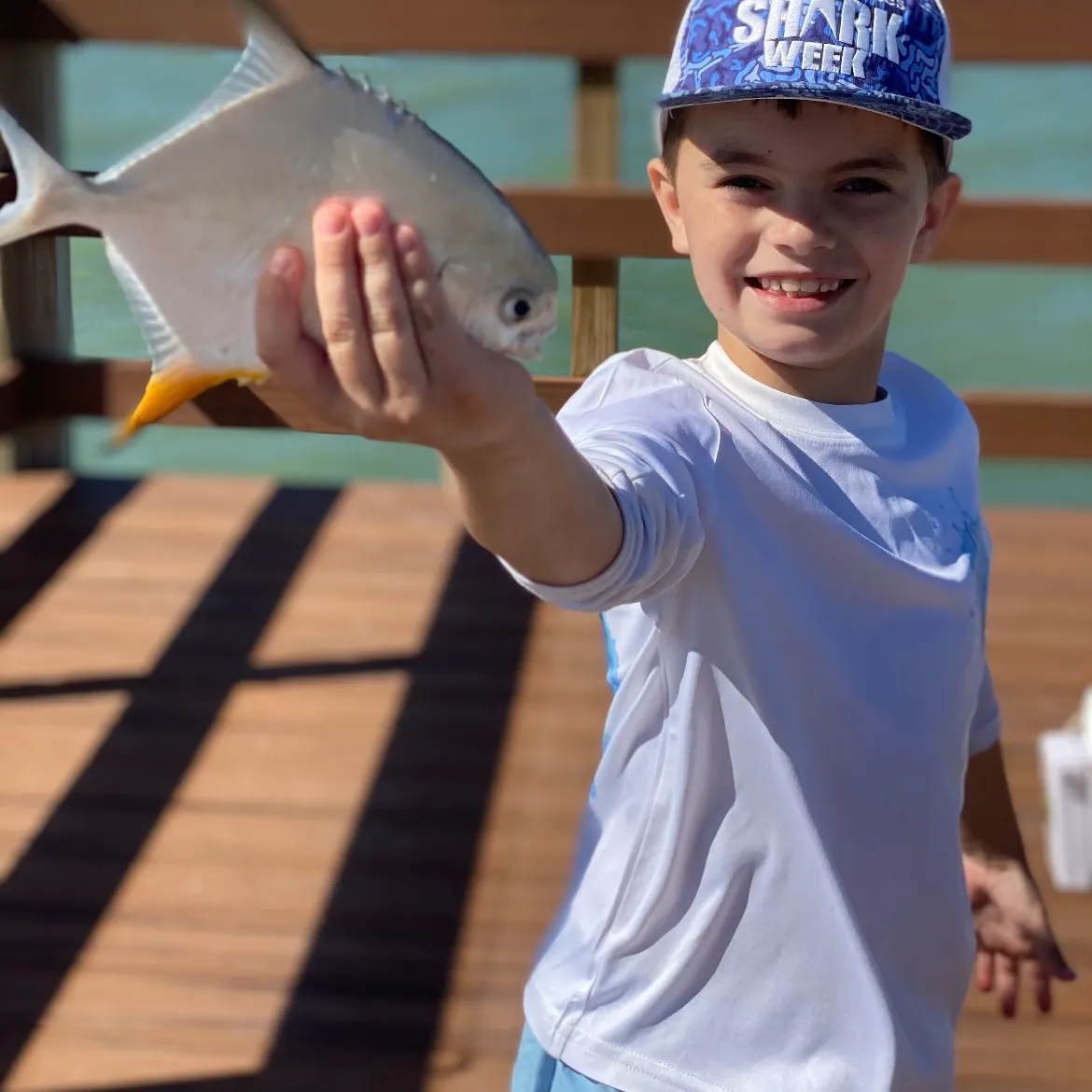 The most recent Permit catches on Fishbrain