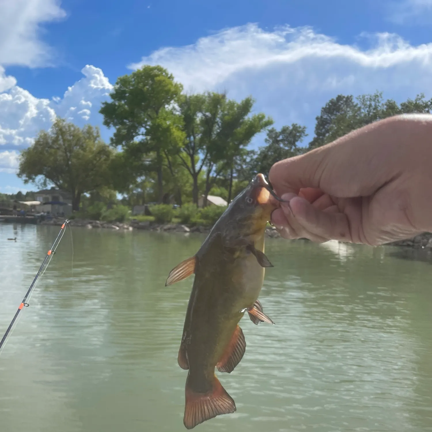catch