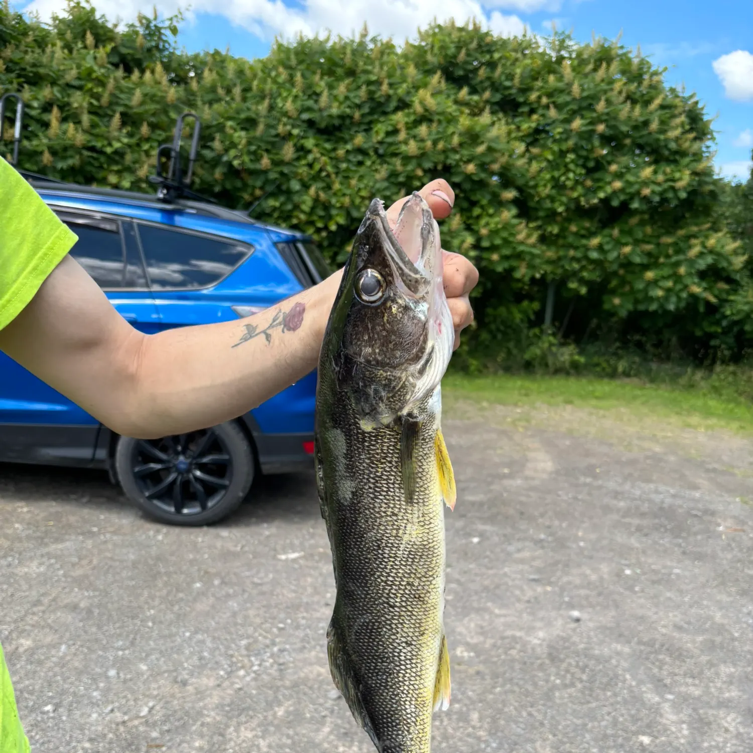 catch