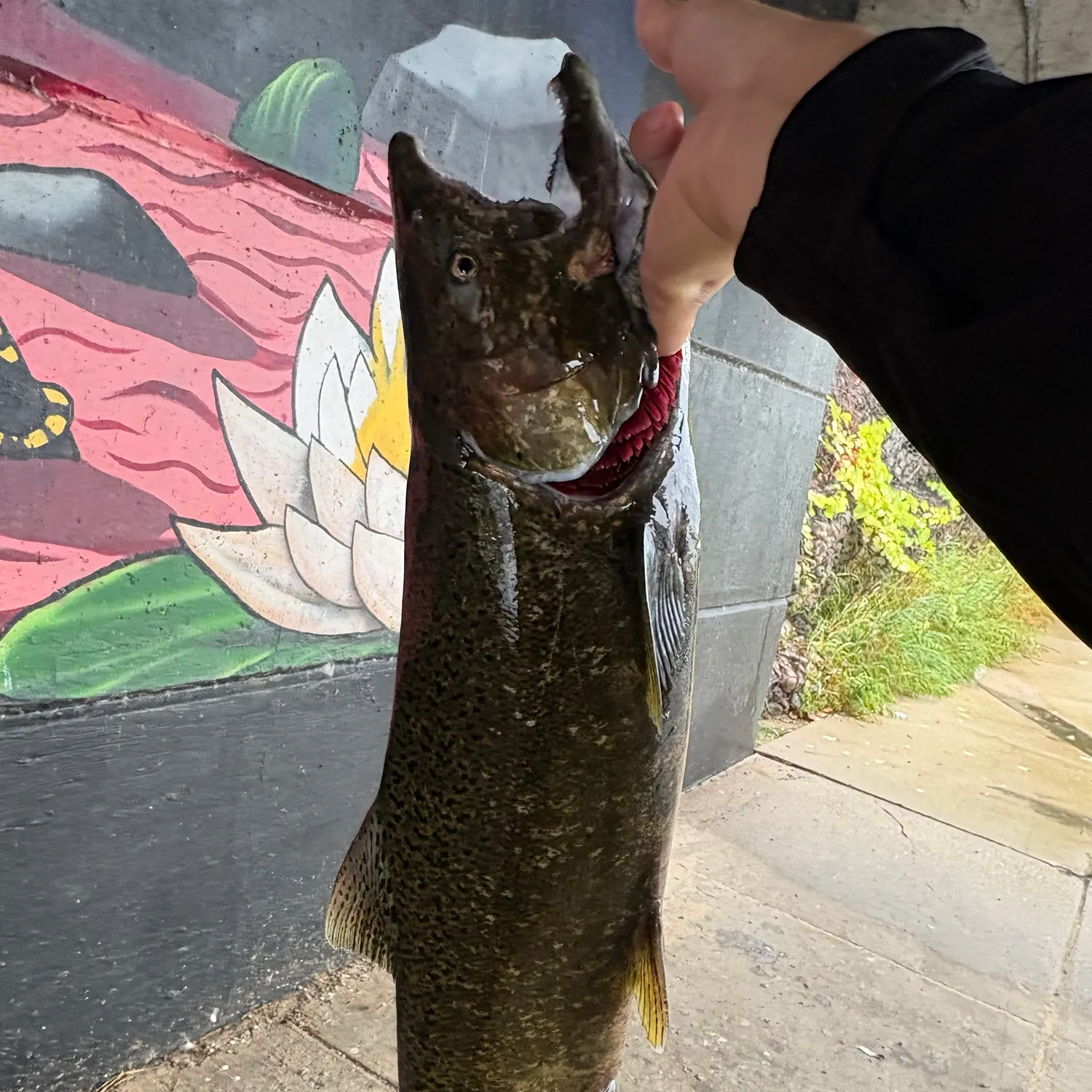 catch