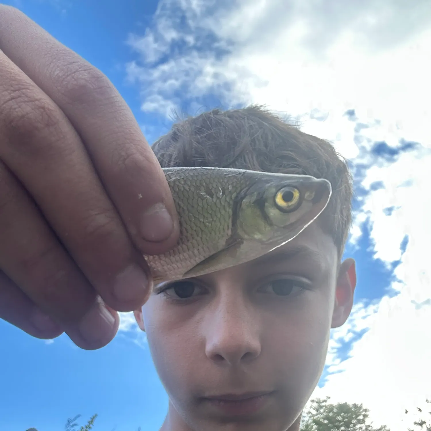 Fish caught on Fishbrain
