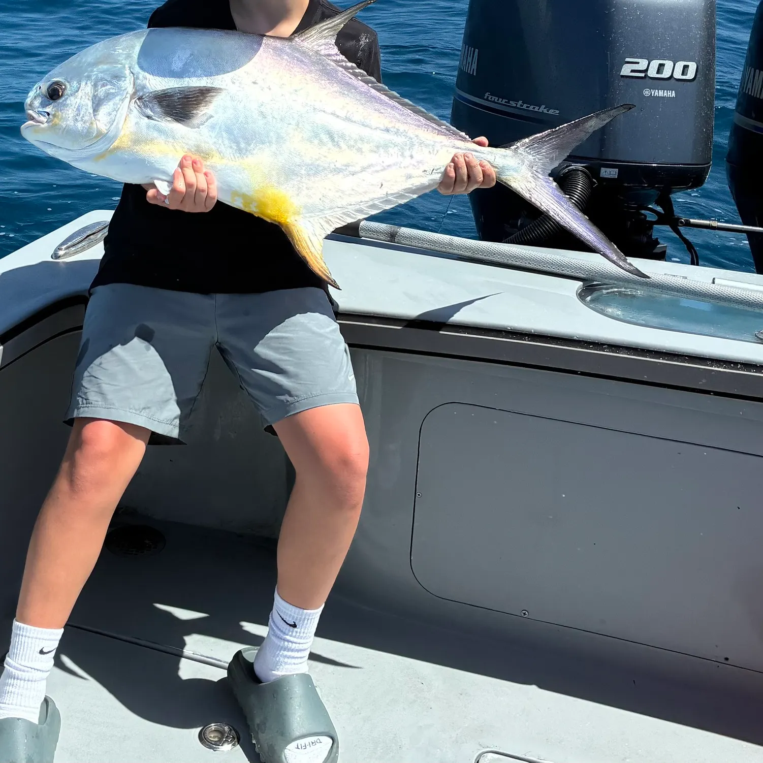 The most recent Permit catches on Fishbrain
