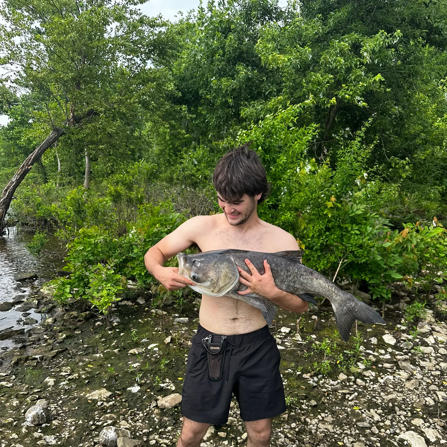most liked catch image