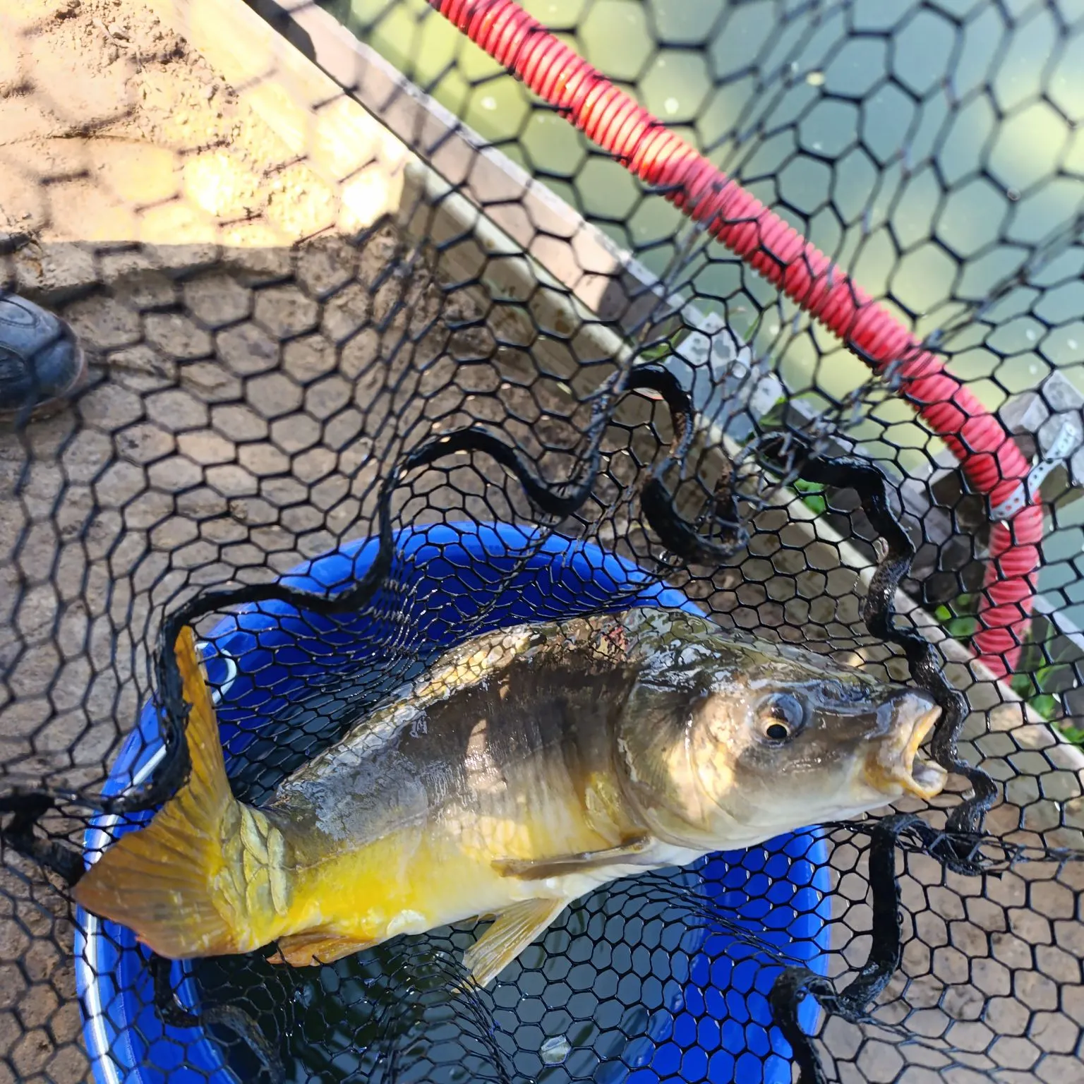 catch