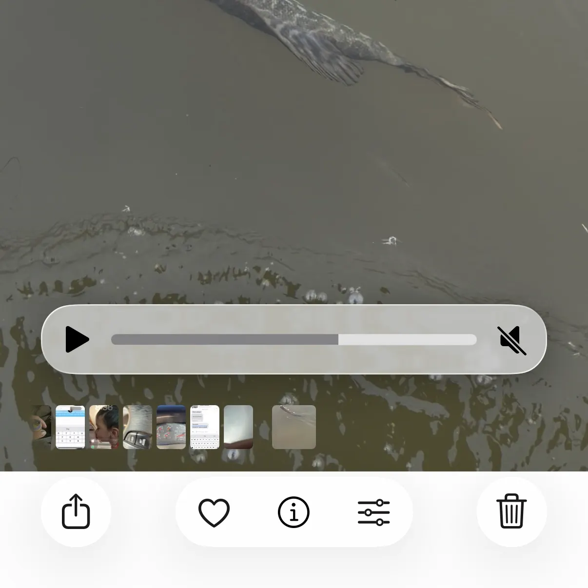 Northern pike caught on Fishbrain