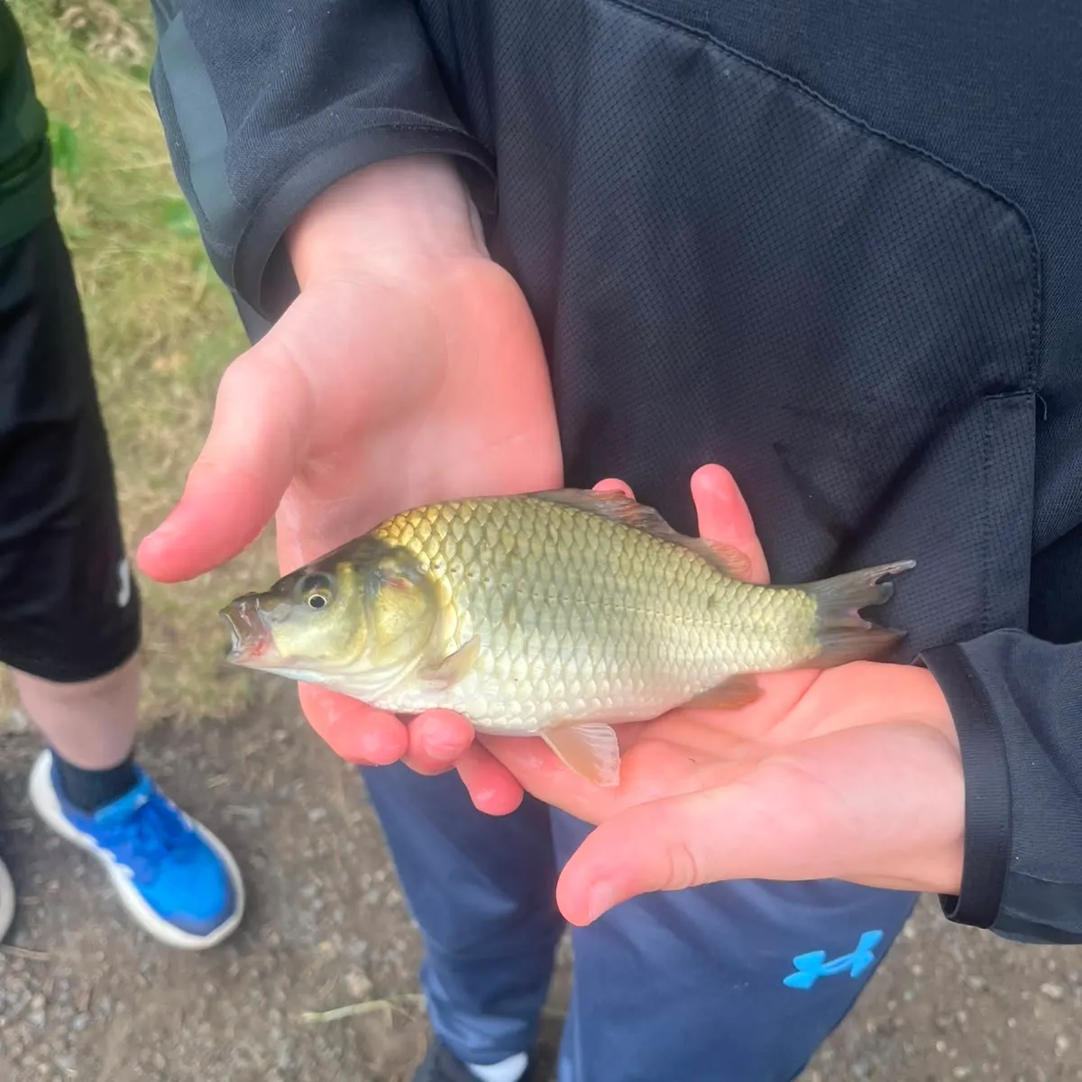 The most recent F1 carp catches on Fishbrain