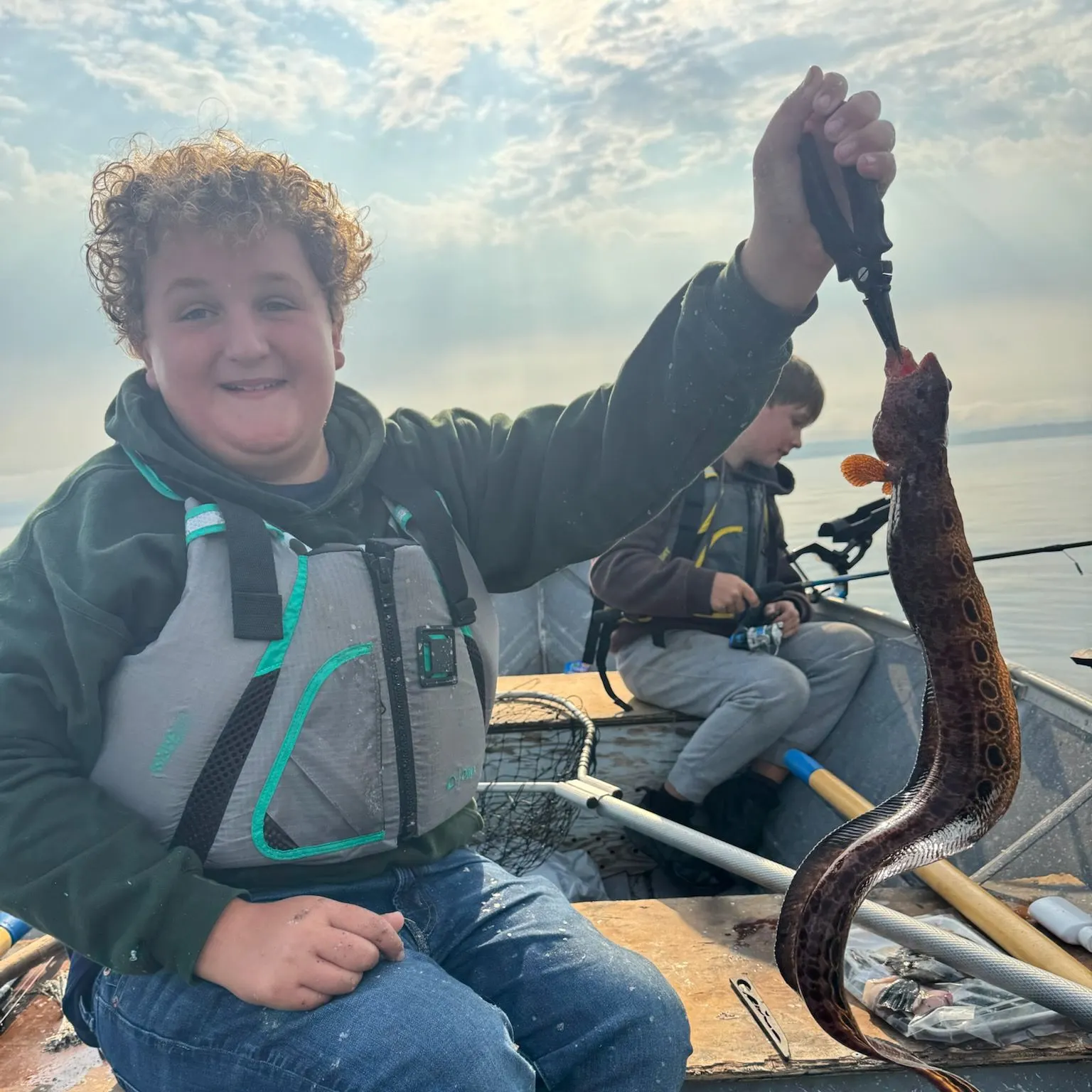 The most recent Wolf-eel catches on Fishbrain