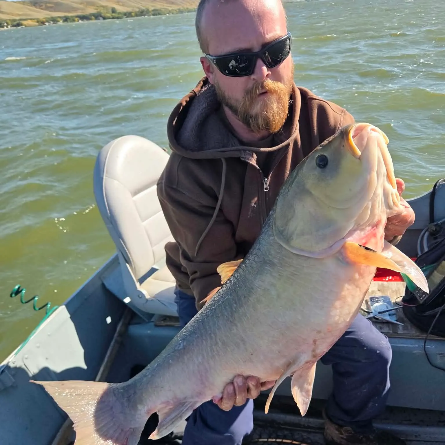 Bigmouth buffalo caught on Fishbrain