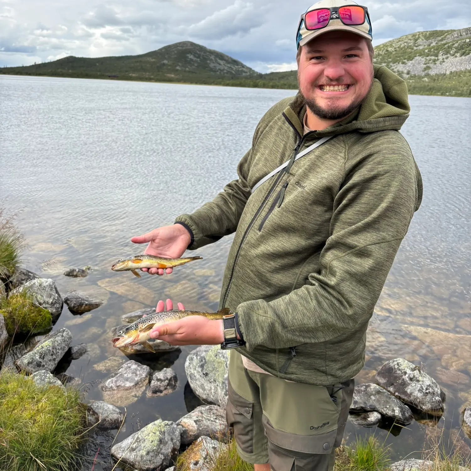 Brown trout caught on Fishbrain