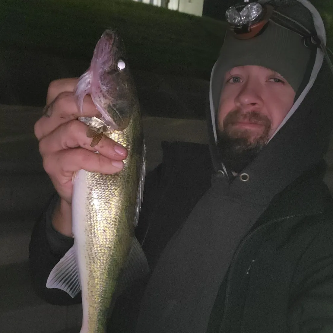 Saugeye caught on Fishbrain