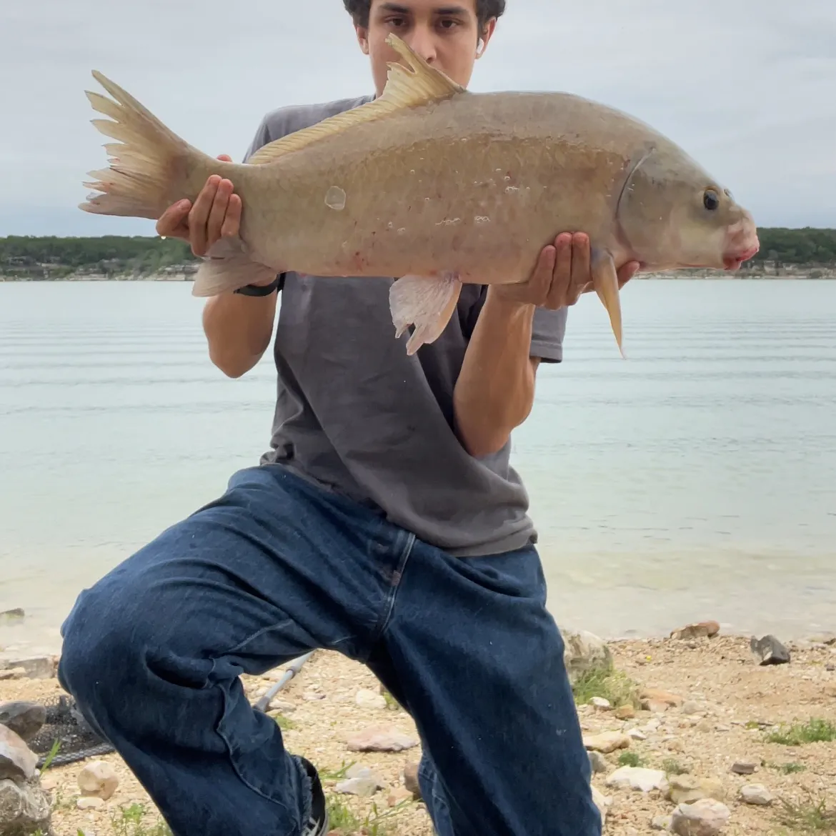 The most recent Smallmouth buffalo catches on Fishbrain