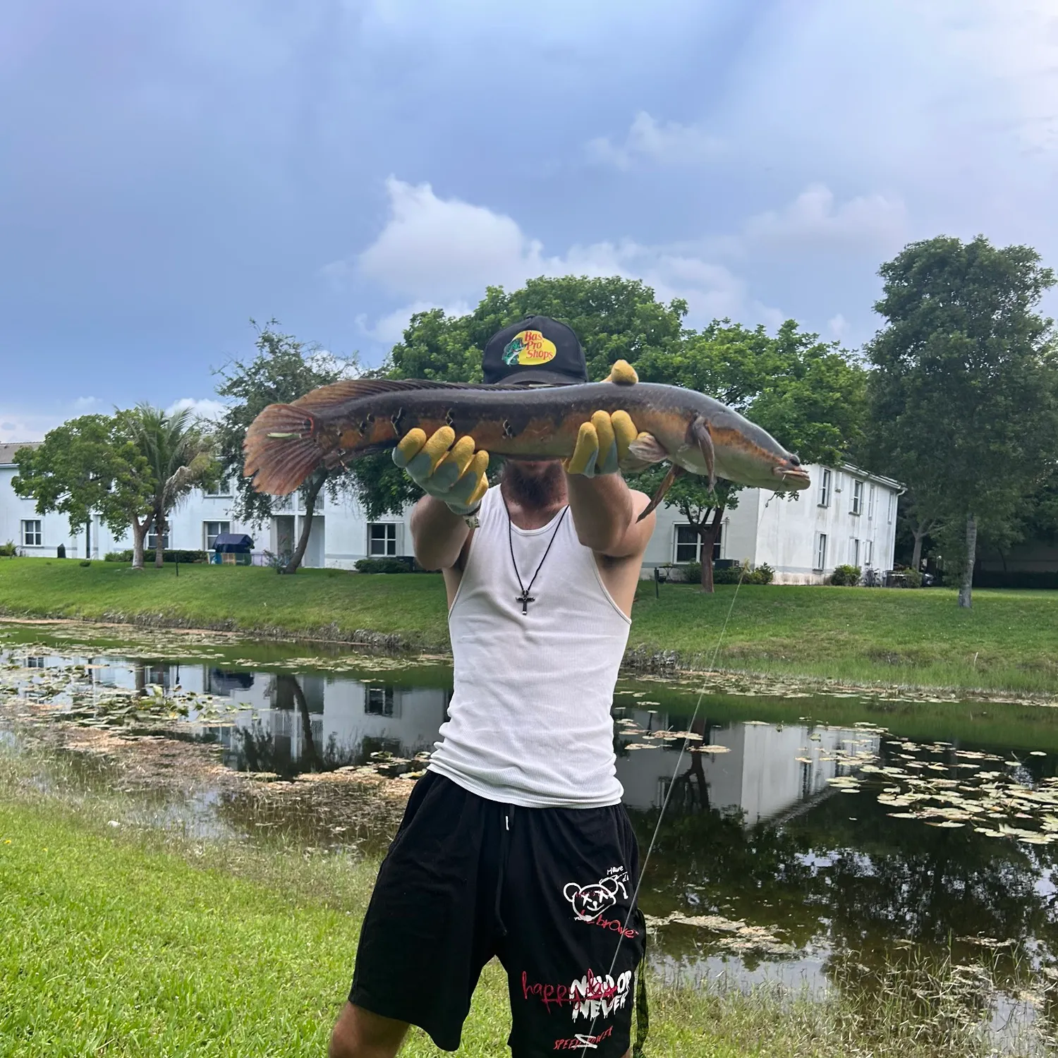 The most recent Bullseye snakehead catches on Fishbrain
