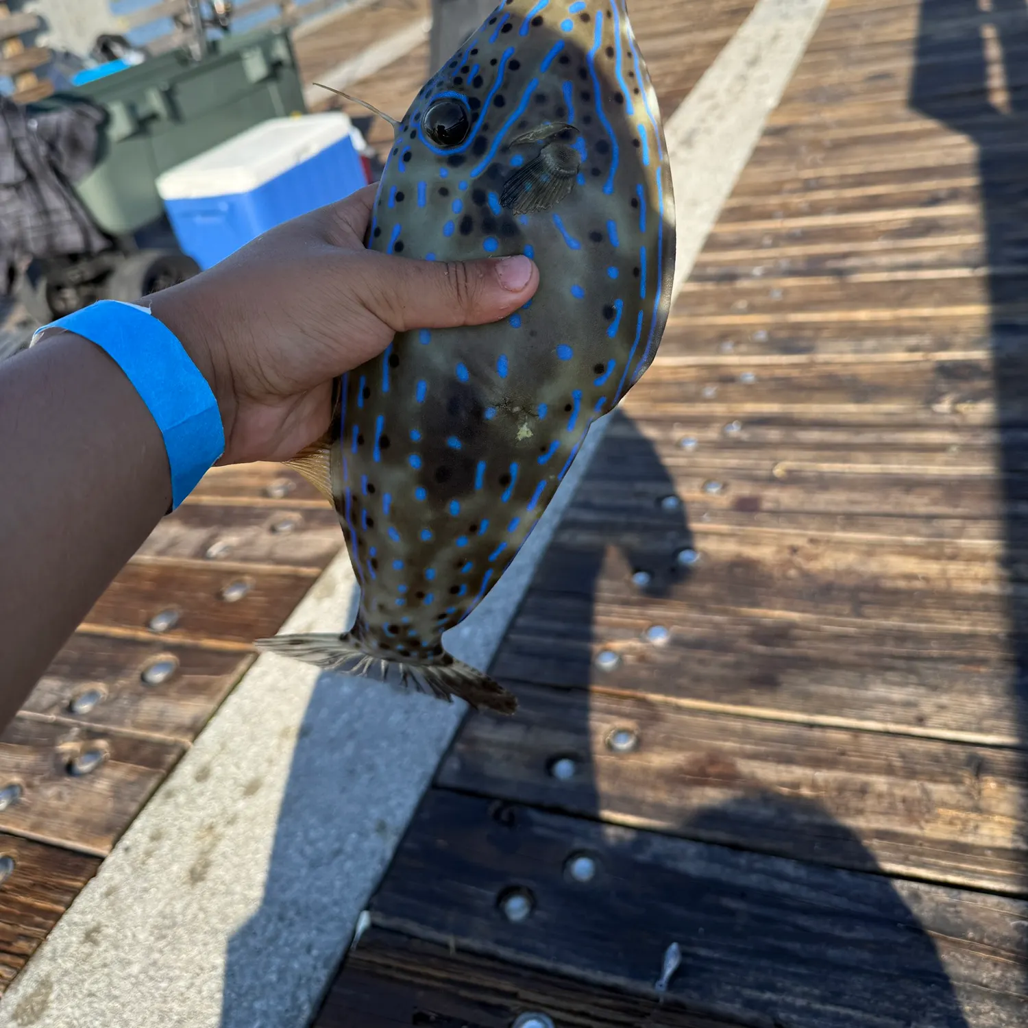 catch