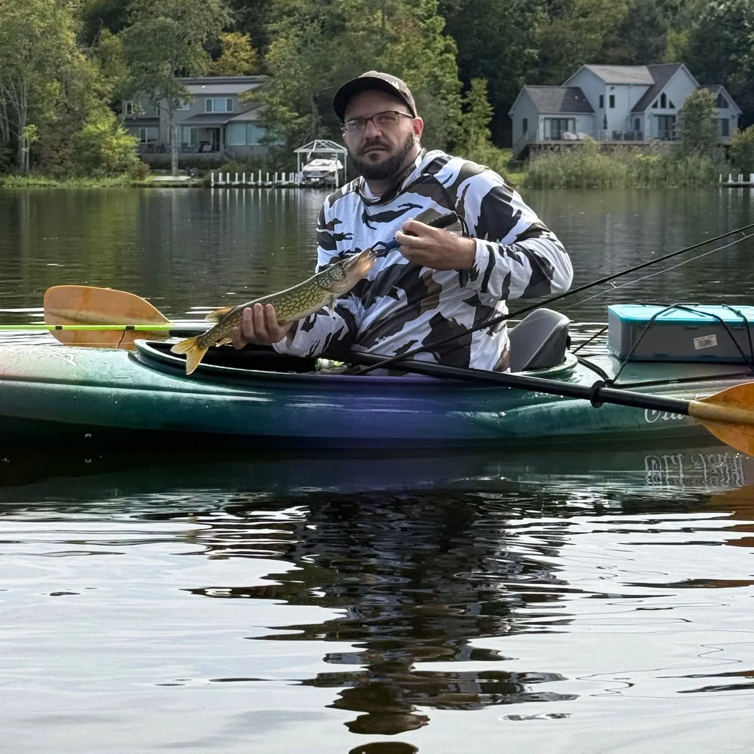 Chain pickerel caught on Fishbrain