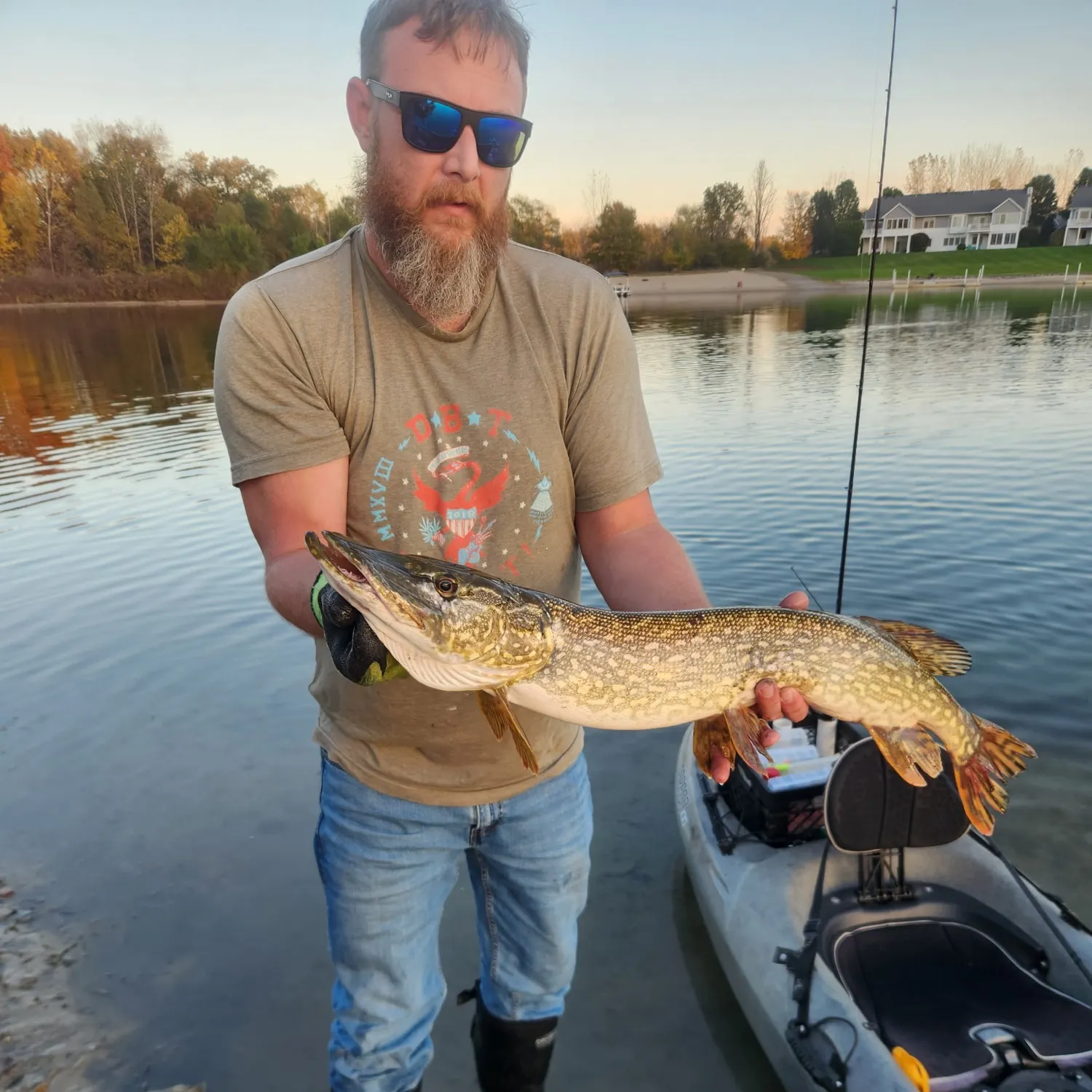 Northern pike caught on Fishbrain