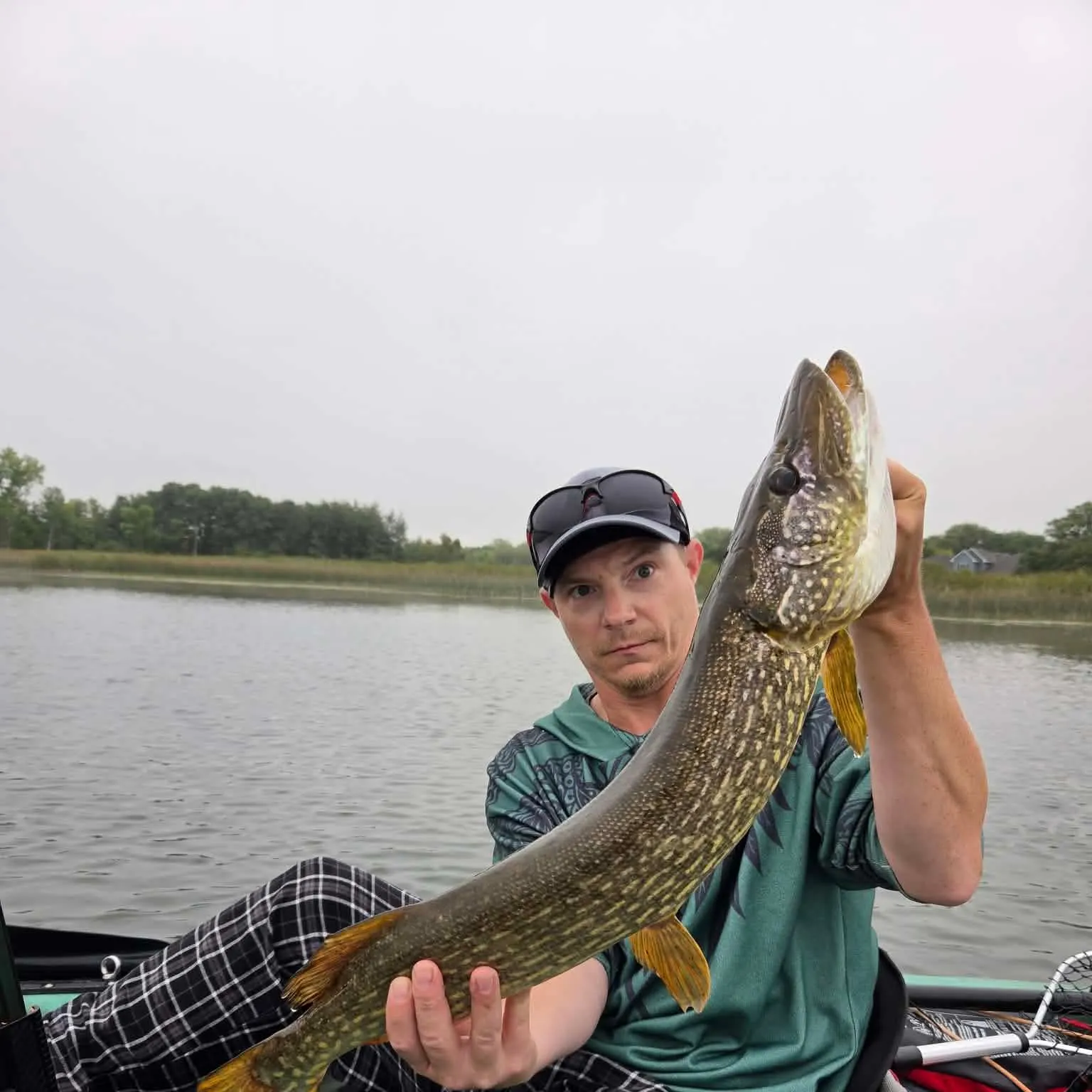 Northern pike caught on Fishbrain