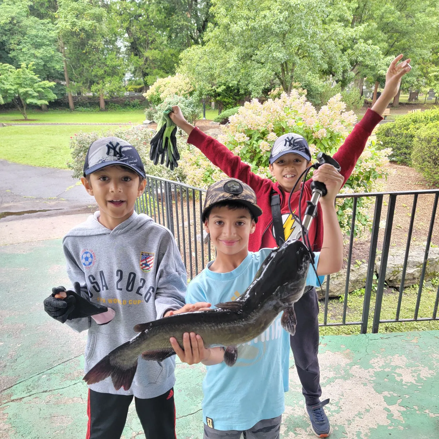 The most recent Channel catfish catches on Fishbrain