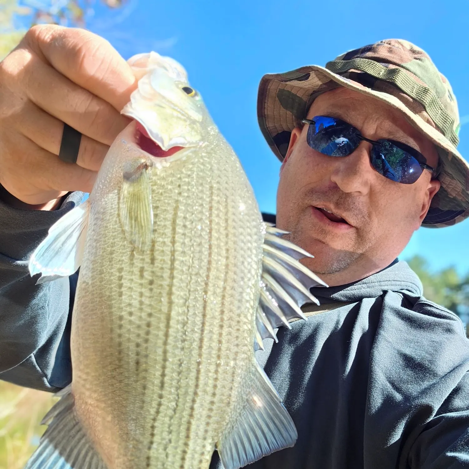 Wiper caught on Fishbrain