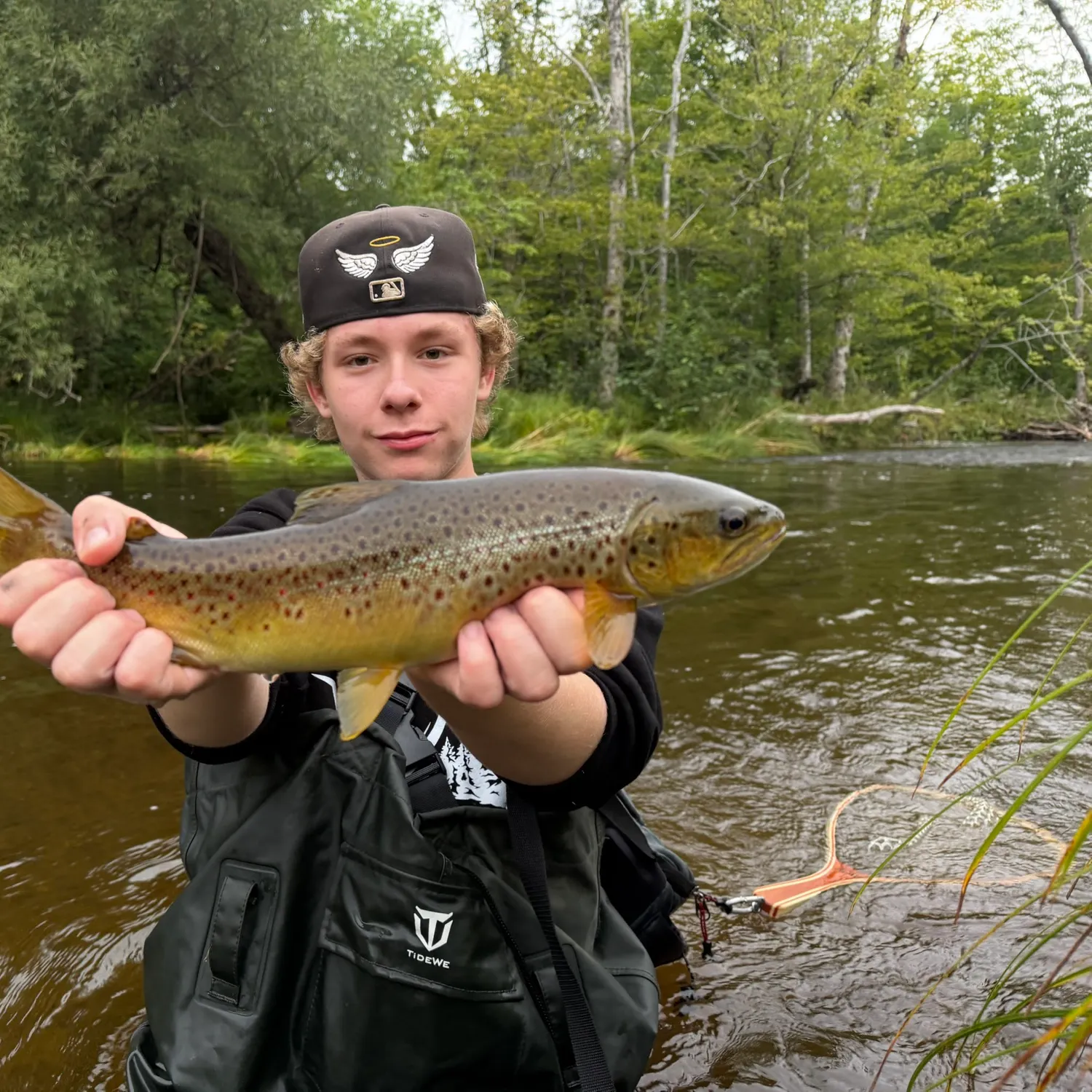 Brown trout caught on Fishbrain