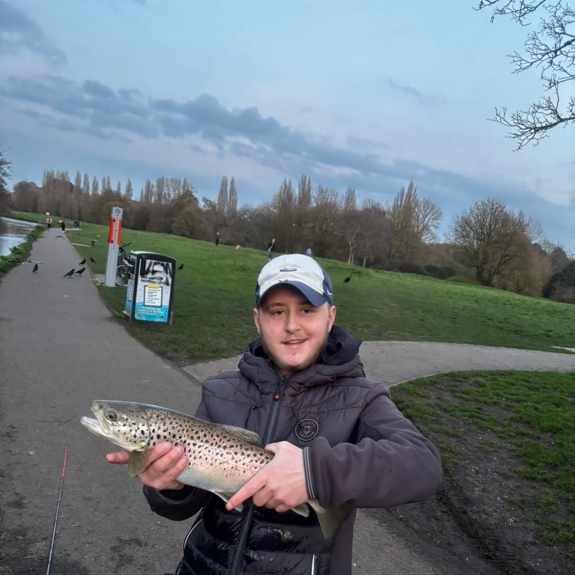 The most recent Sea trout catches on Fishbrain