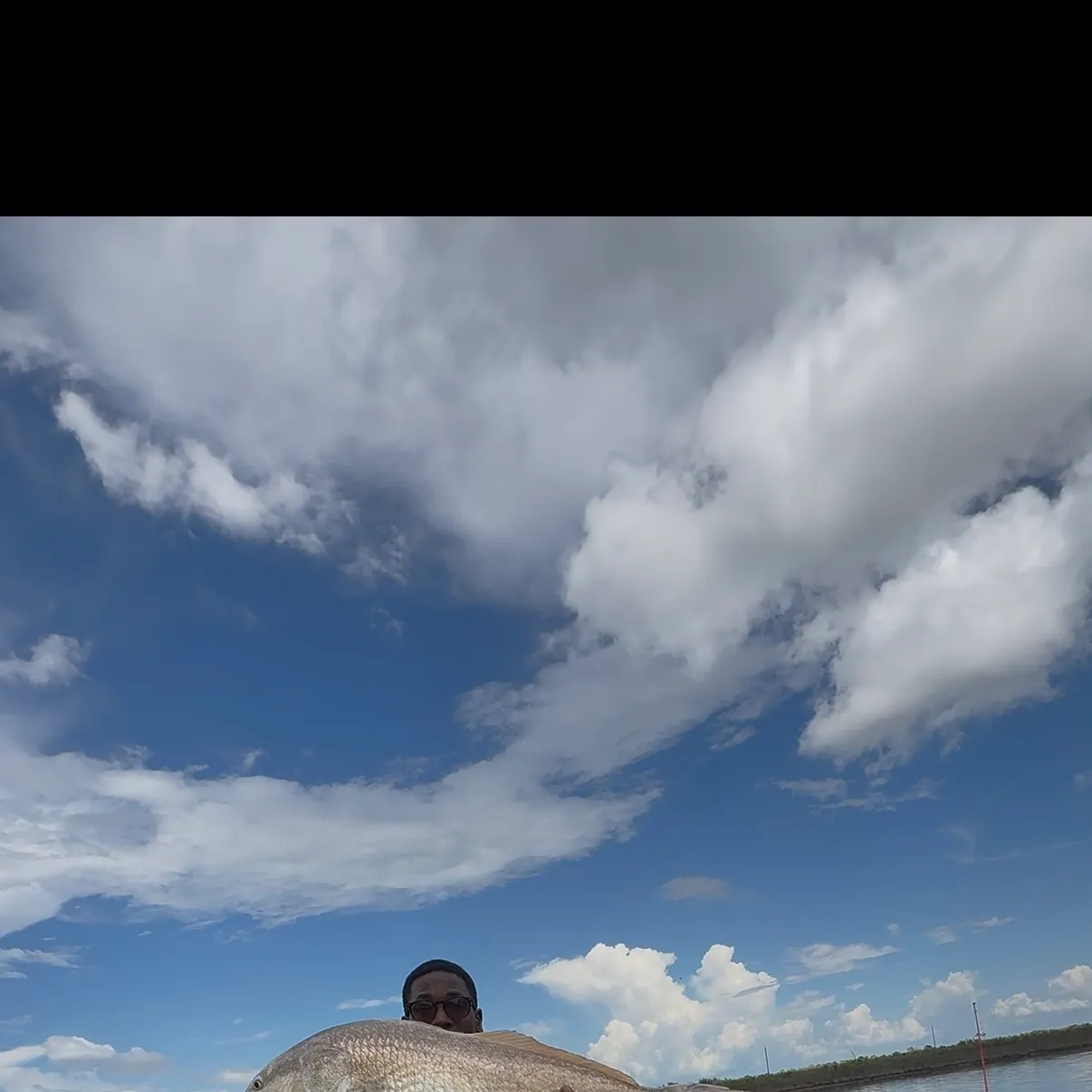 Red drum caught on Fishbrain