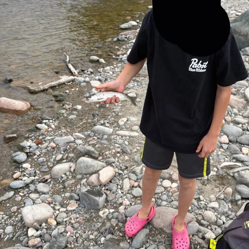 Rainbow trout caught on Fishbrain