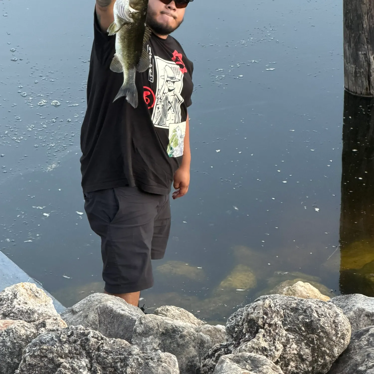 Largemouth bass caught on Fishbrain