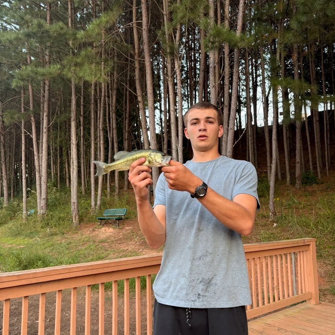 Spotted bass caught on Fishbrain