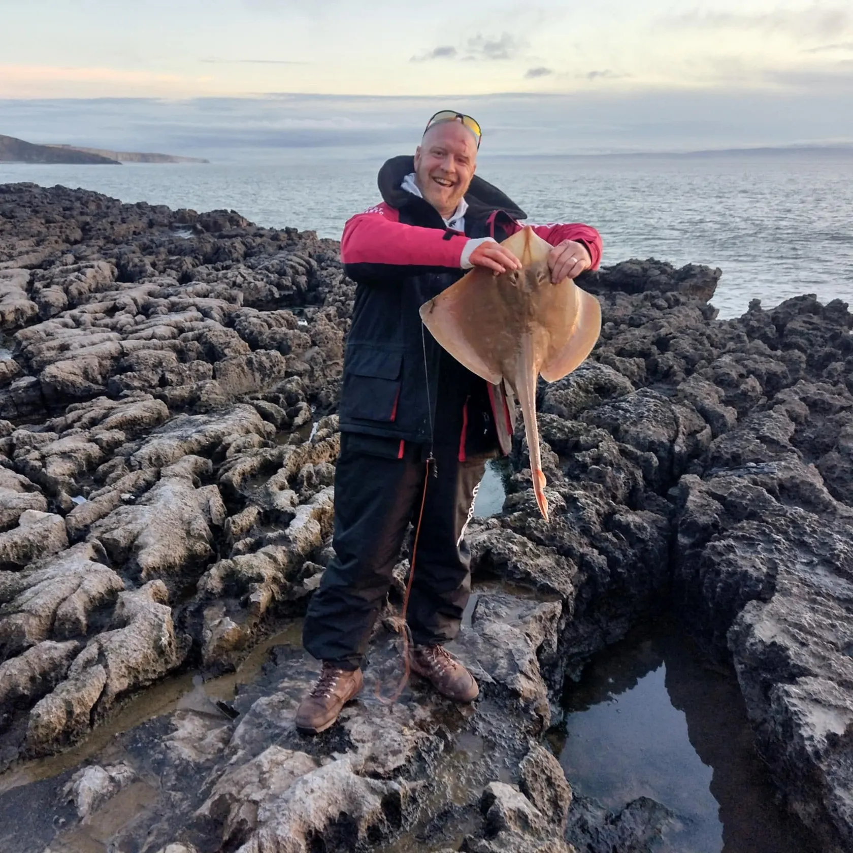 The most recent Small-eyed ray catches on Fishbrain