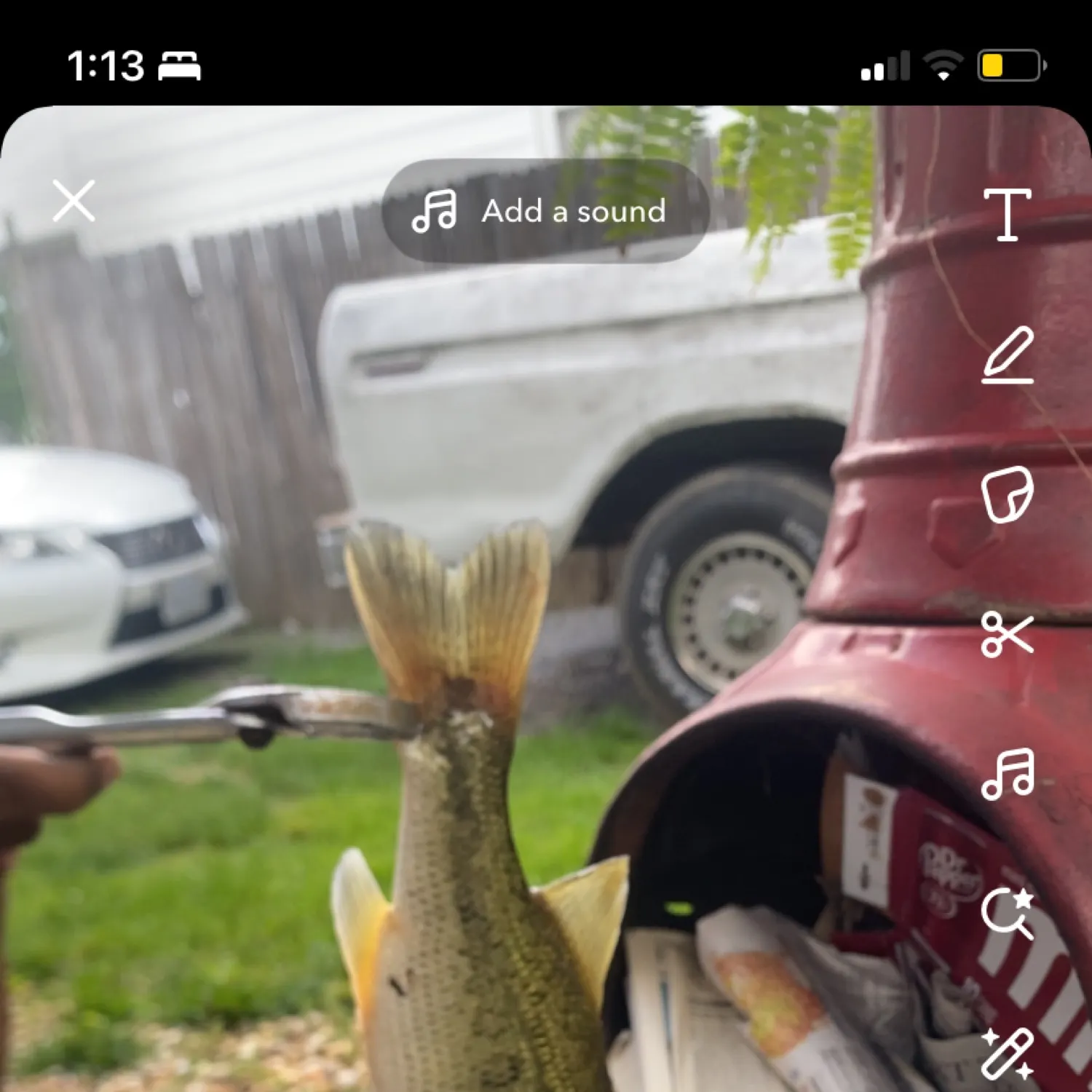 recently logged catches