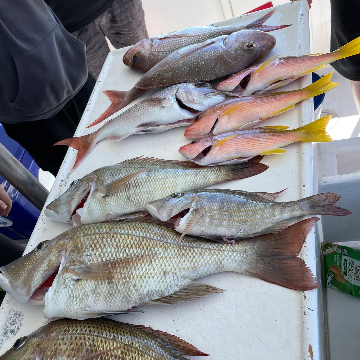 Fish caught on Fishbrain
