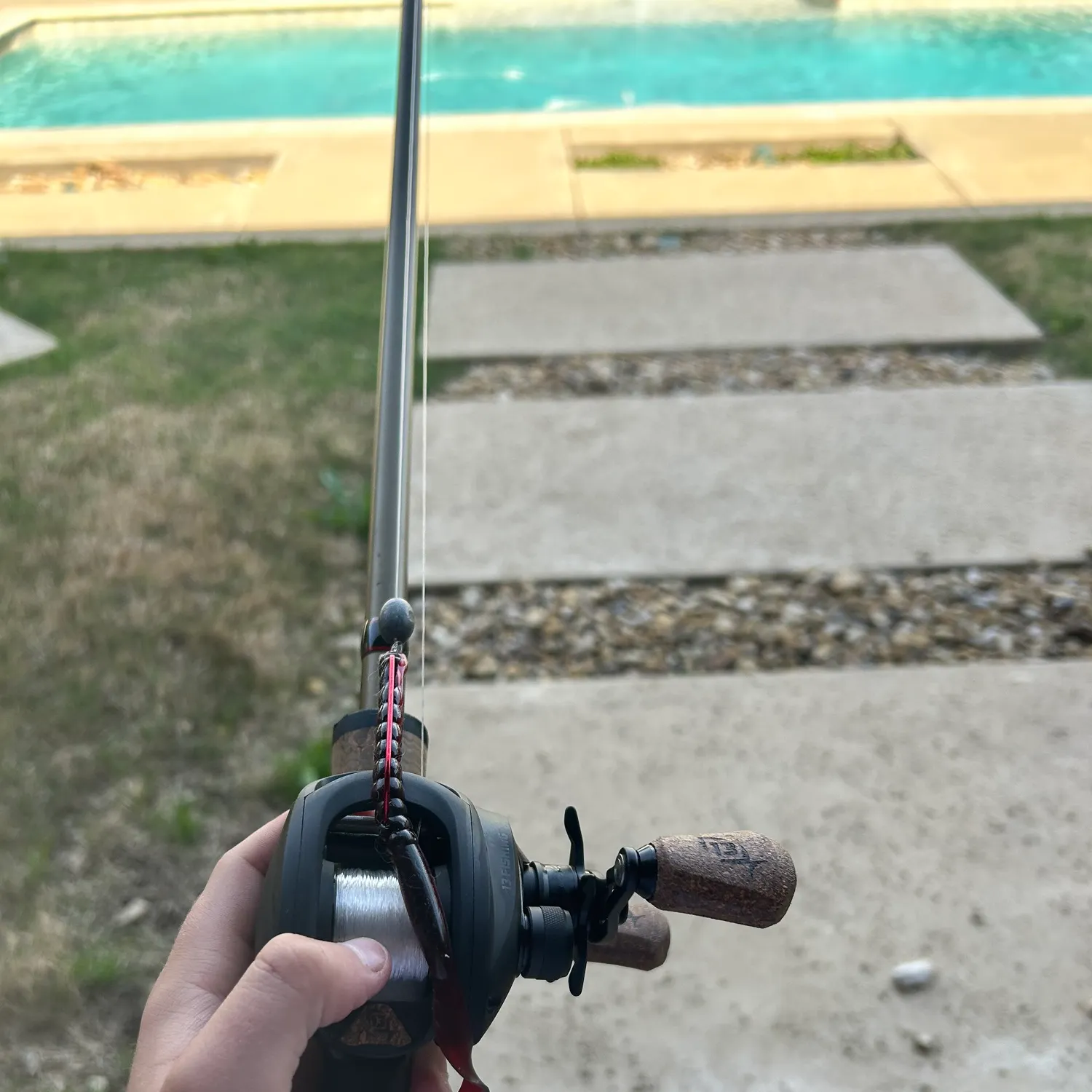 The most recent Oceanic whitetip shark catches on Fishbrain