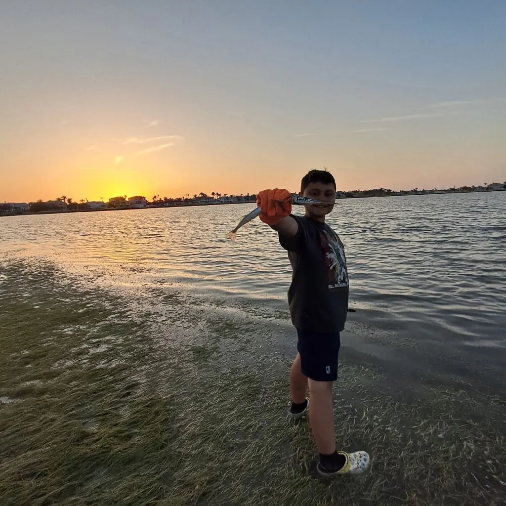 angler catch