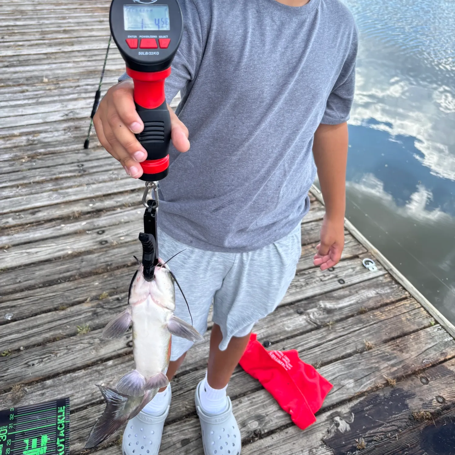 Channel catfish caught on Fishbrain