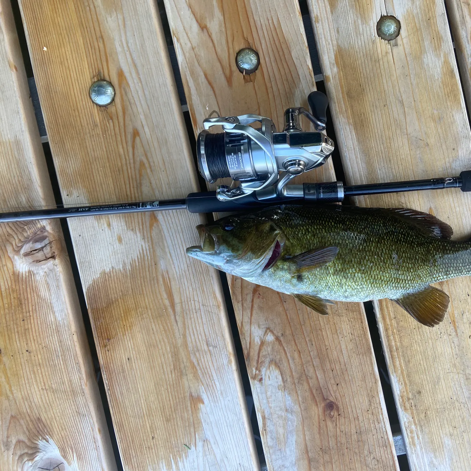 recently logged catches
