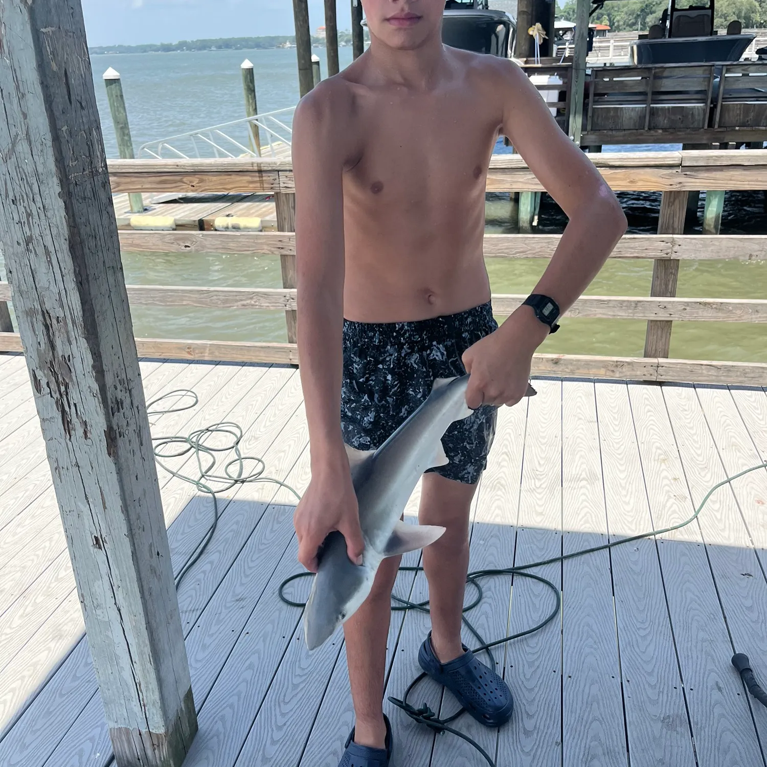 The most recent Finetooth shark catches on Fishbrain