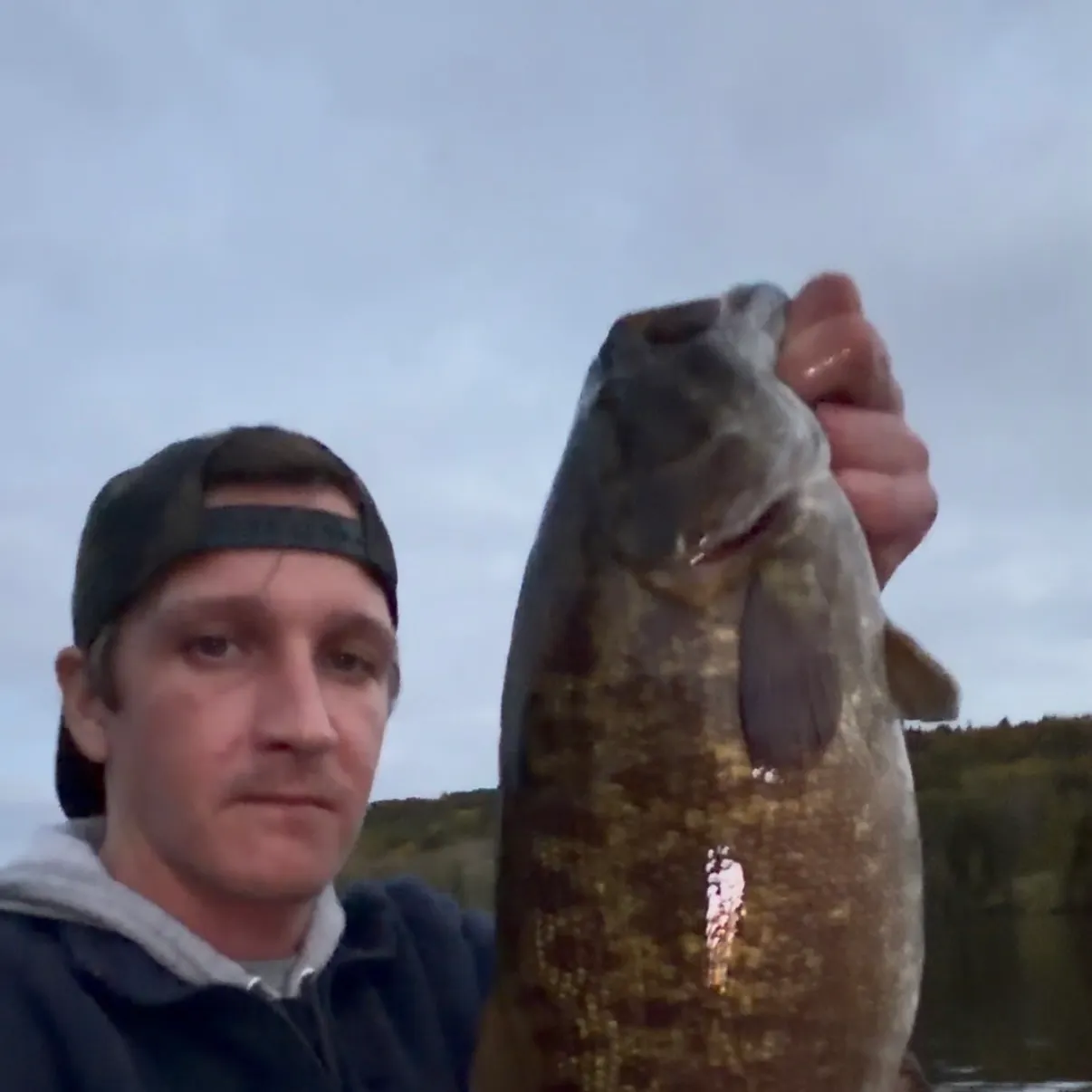 Smallmouth bass caught on Fishbrain