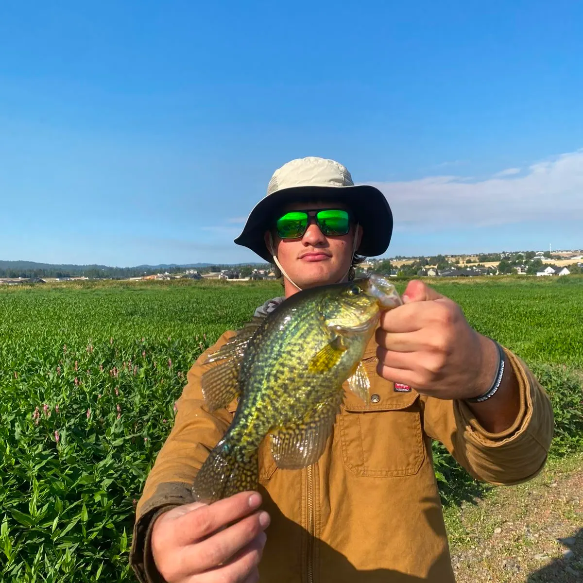 Black crappie caught on Fishbrain