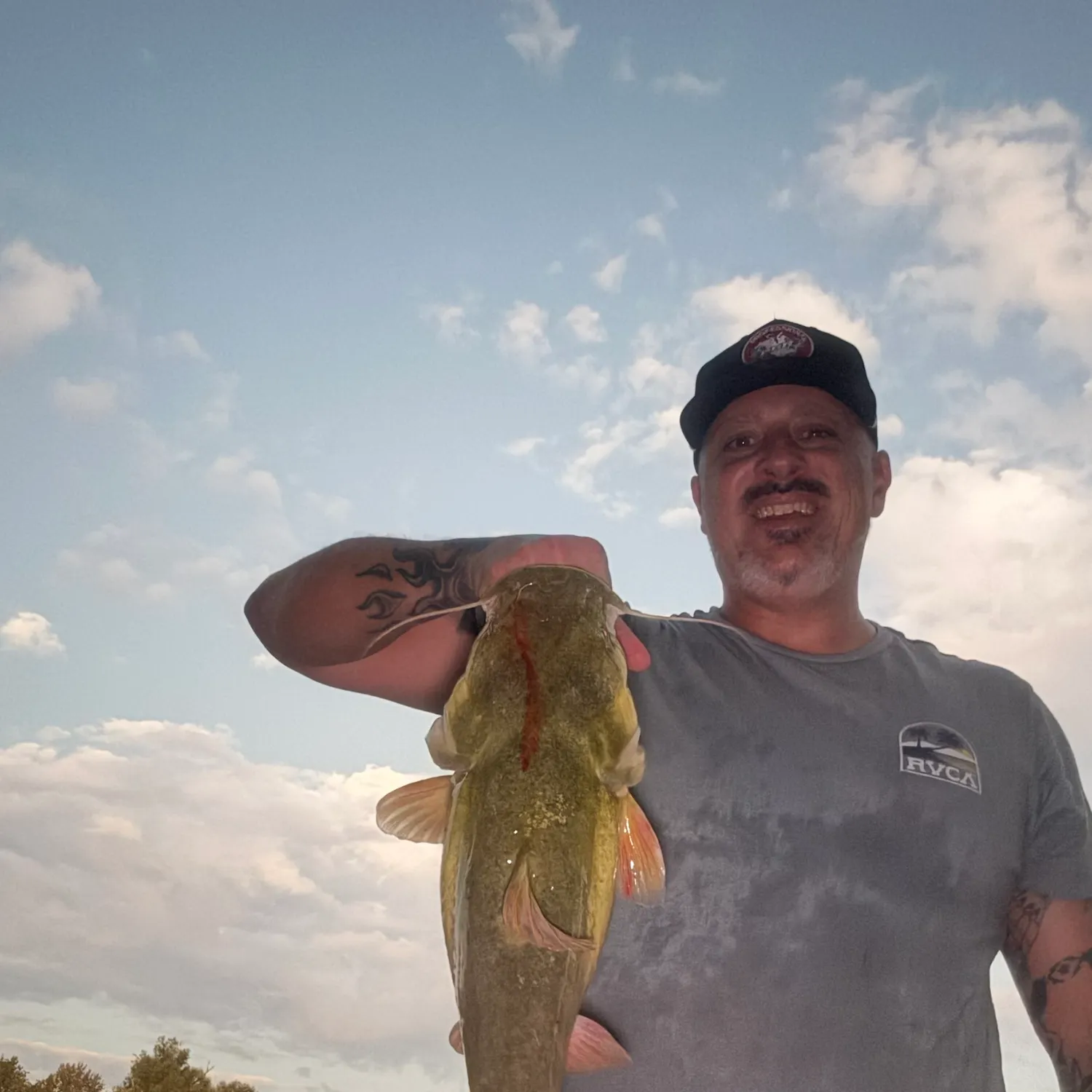 Flathead catfish caught on Fishbrain