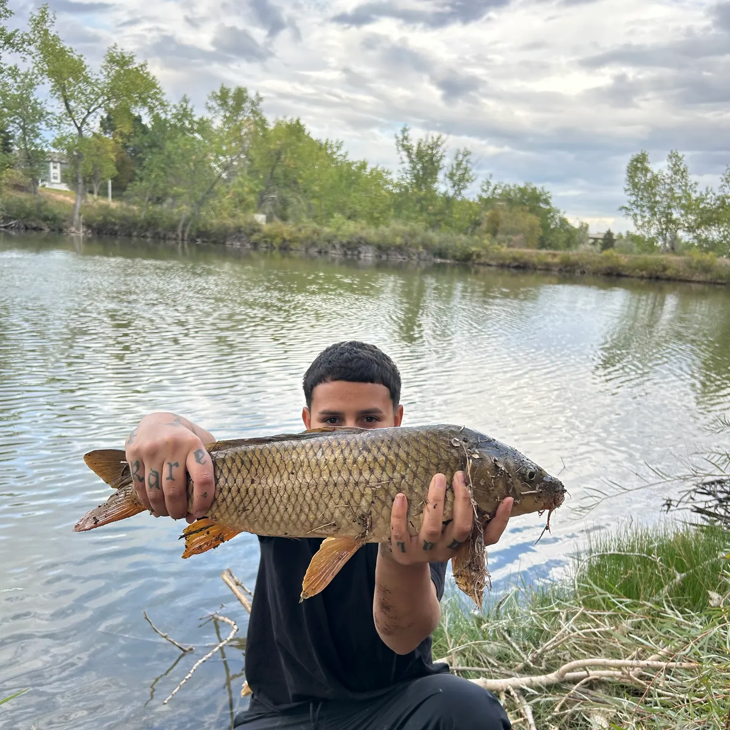 Common carp caught on Fishbrain