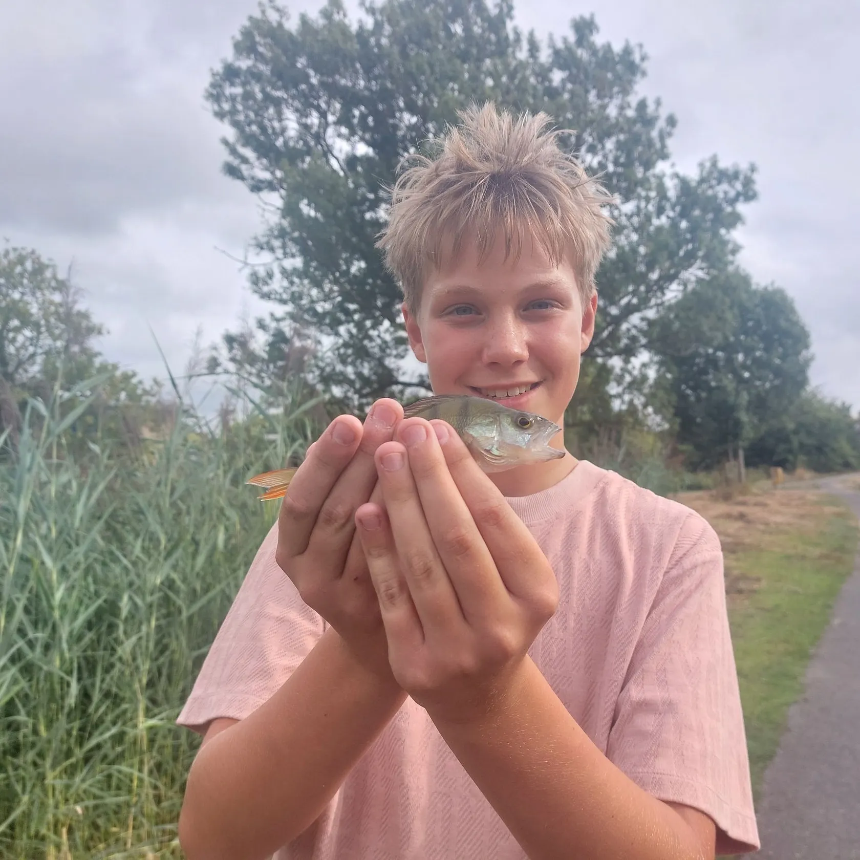 European perch caught on Fishbrain