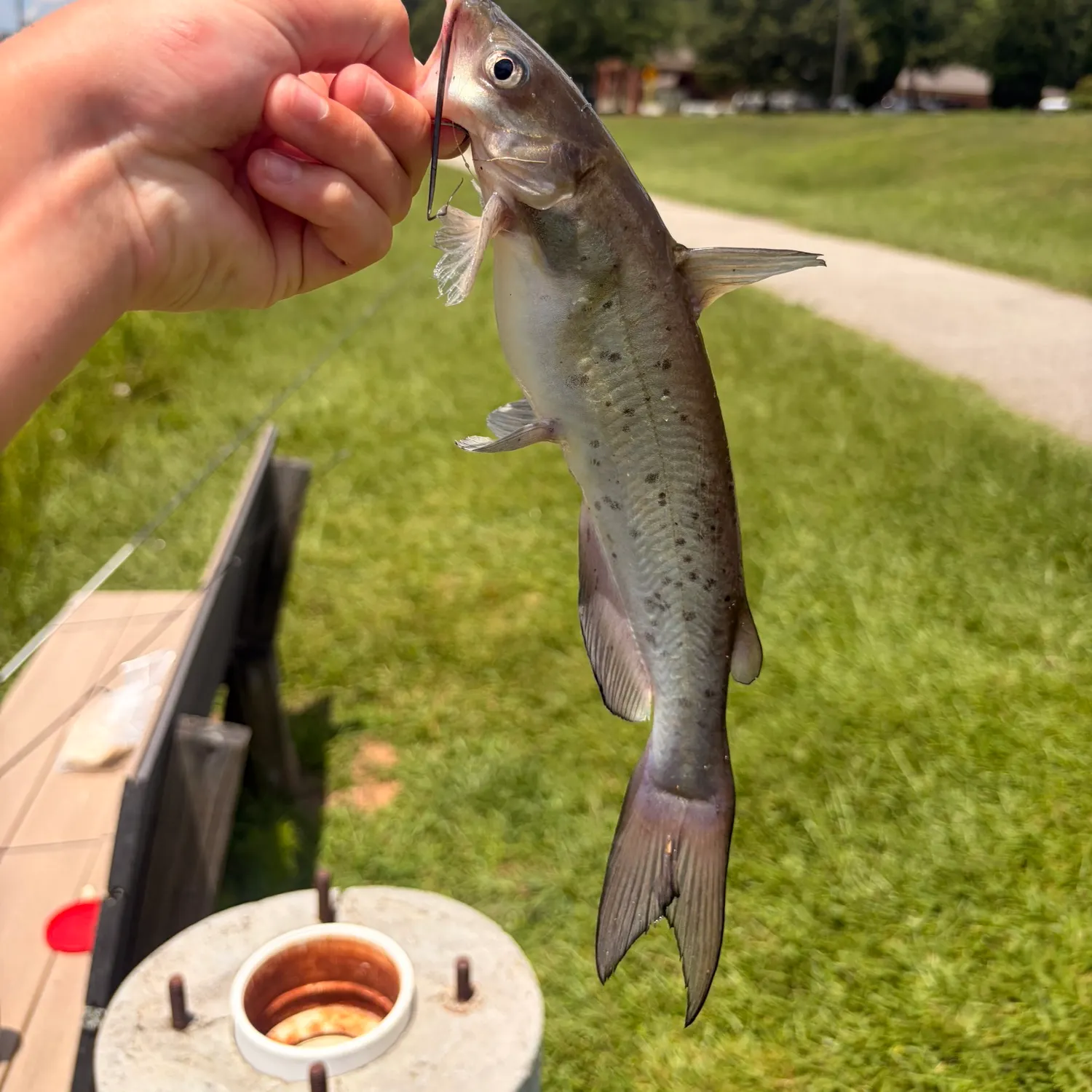 catch