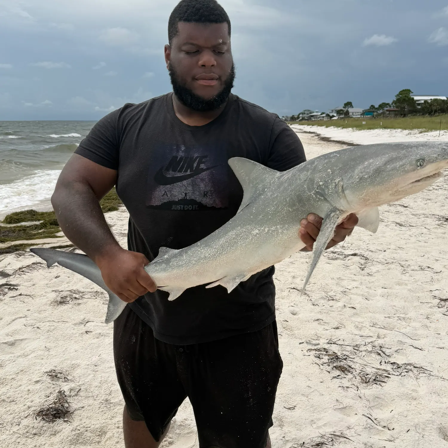 The most recent Atlantic sharpnose shark catches on Fishbrain