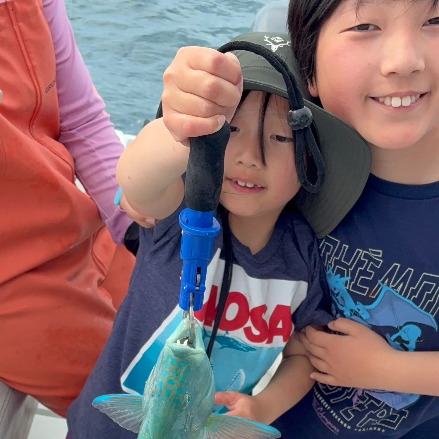 The most recent Common parrotfish catches on Fishbrain