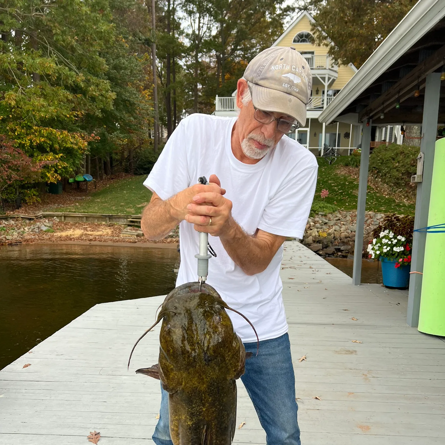 The most recent Flathead catfish catches on Fishbrain