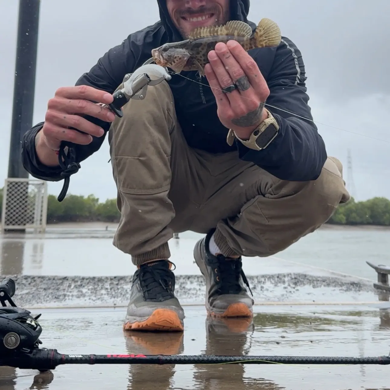 Orange-spotted grouper caught on Fishbrain