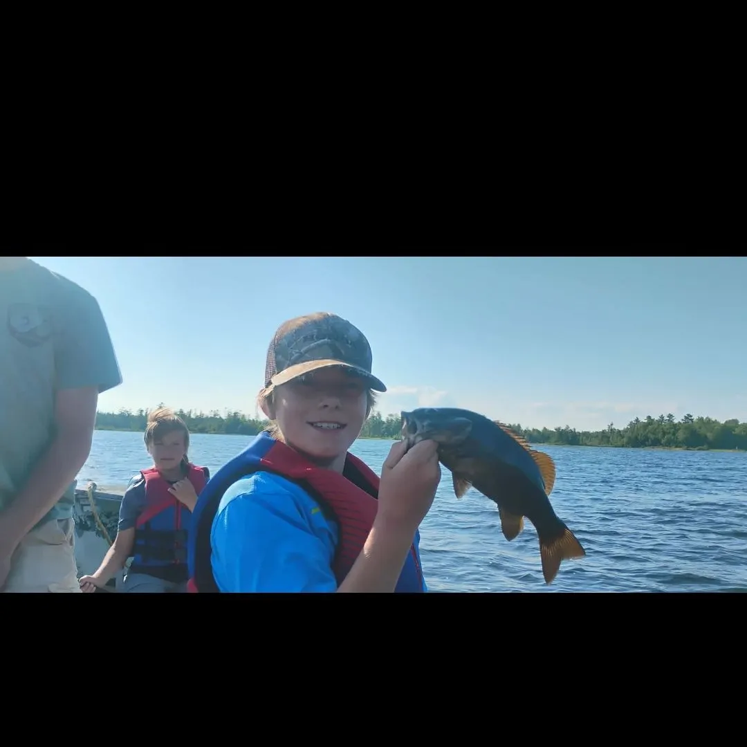 Smallmouth bass caught on Fishbrain